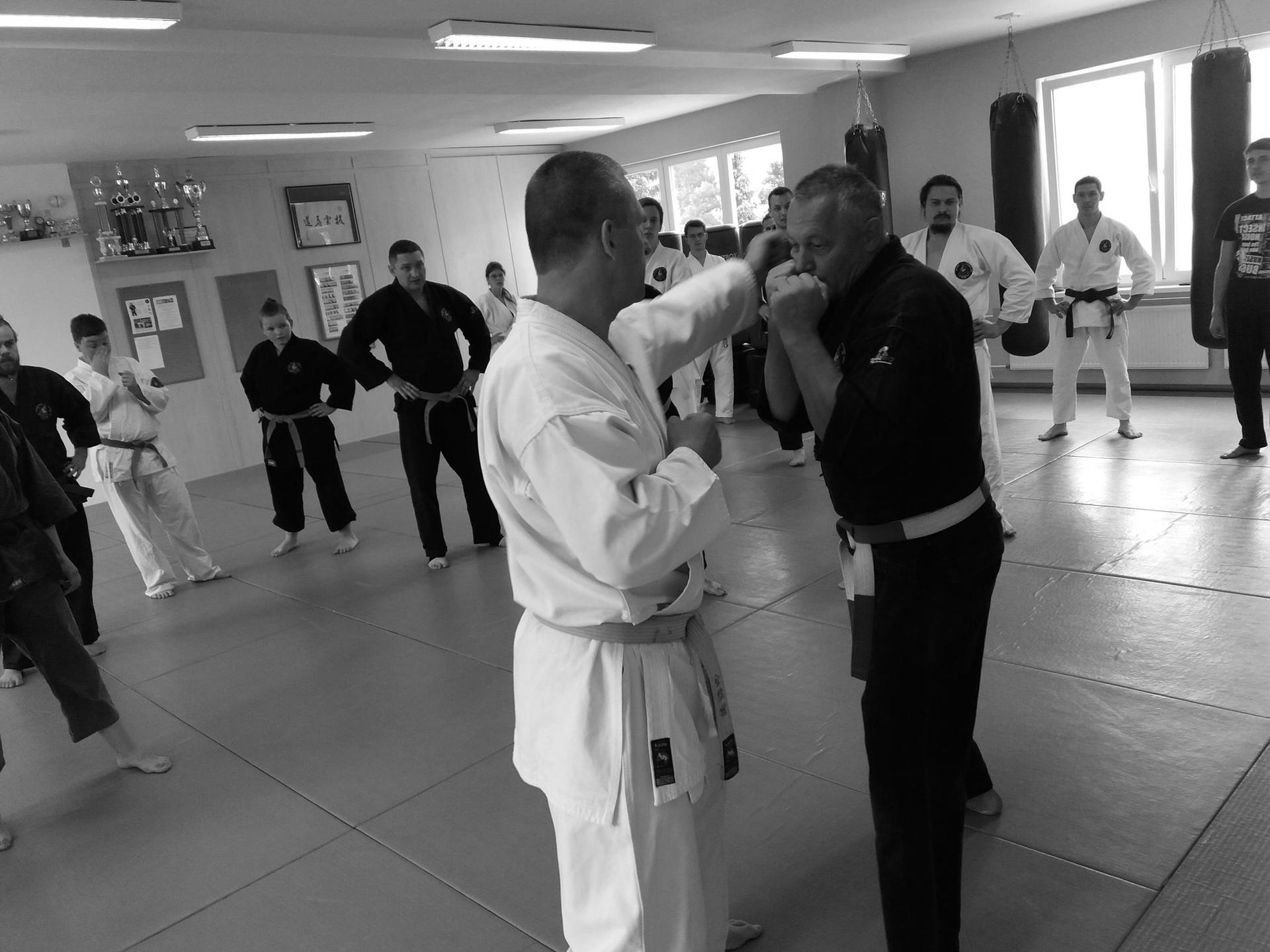 Pravidelné semináře